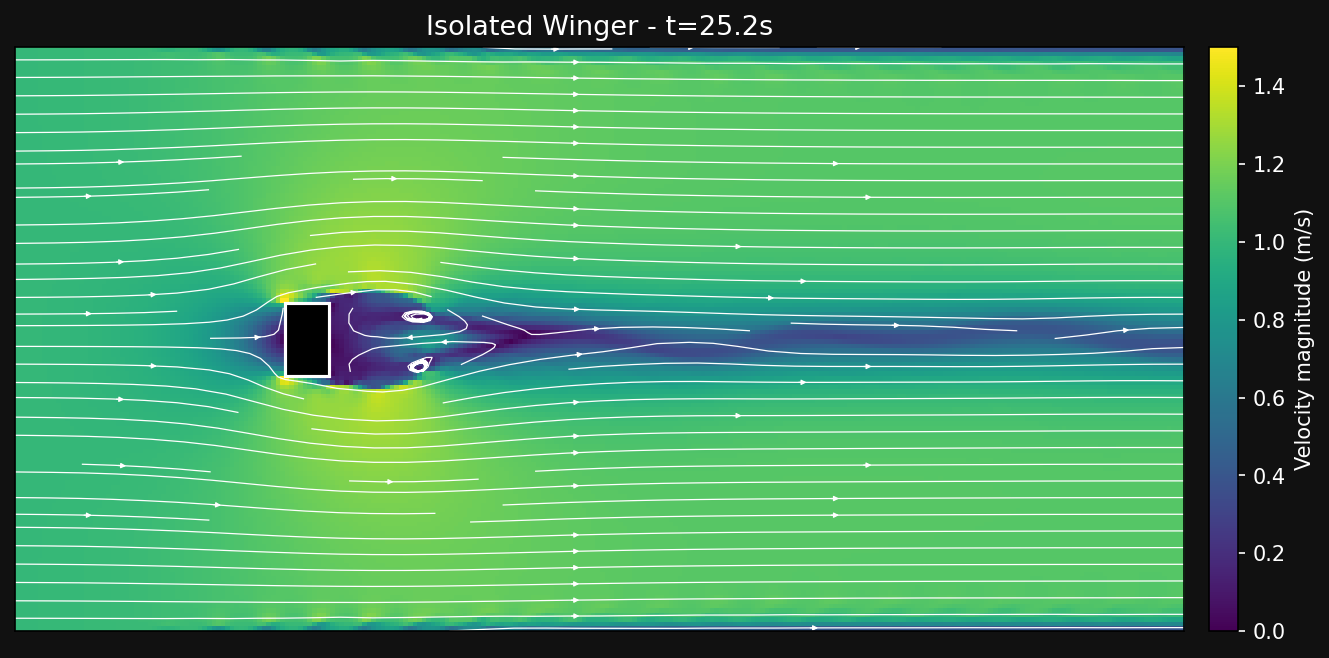 Isolated winger velocity field